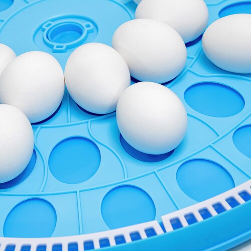 Incubadora Huevos 52pz Temp Ajustable 20 a 39.5 Grados y Ovoscopio