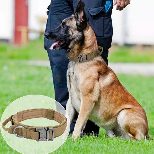 Collar Táctico Militar Para Perro Ajustable Ultra Resistente