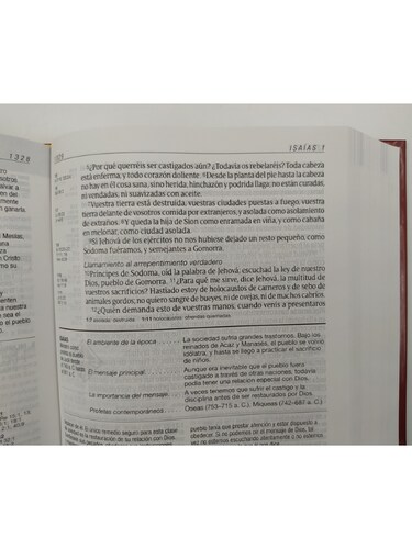 Biblia RVR60 de estudio diario vivir letra grande tapa dura