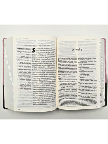 Santa Biblia Ntv, Edición Personal, Letra Grande, Duotono