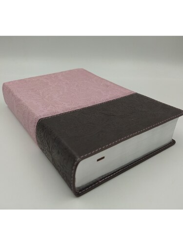 Santa Biblia Ntv, Edición Personal, Letra Grande, Duotono