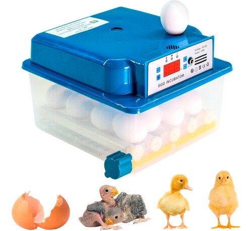 Incubadora Automatica Pollos 16 Huevos Ovoscopio Aves