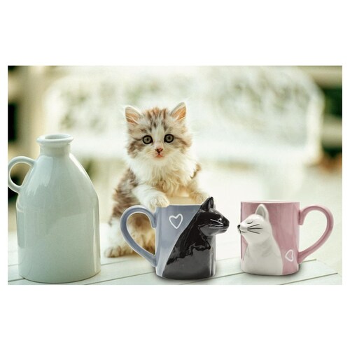 Juego de Tazas de Cerámica BigNoseDeer para Café Capacidad de 350 ml, Diseño Beso de Gato