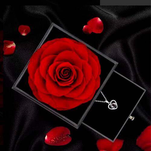 Flores De Rosa Eterna Con Regalo De Collar Para Mujeres