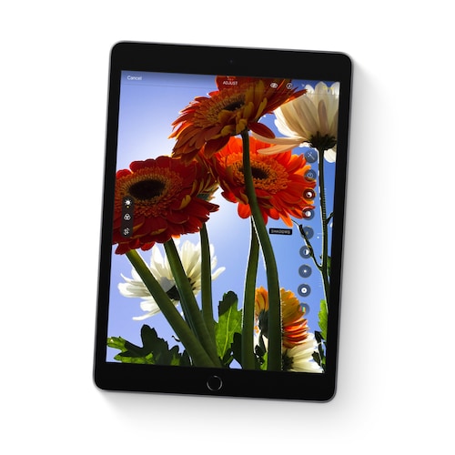 Tableta Apple iPad (9th Generation) A2602 (10.2") - 64GB Apple A13 Bionic SoC IPS MK2K3LZ/A - Gris Espacial