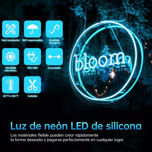 Tira De Luz De Manguera Led Flexible De Neón 10m Con Control Blue