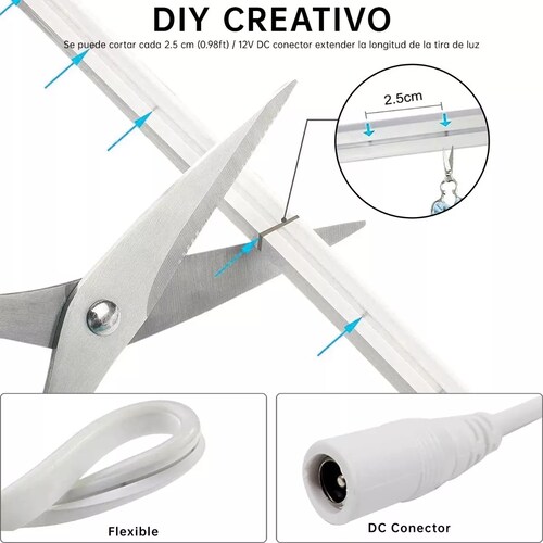 Tira De Luz De Manguera Led Flexible De Neón 10m Con Control Blue
