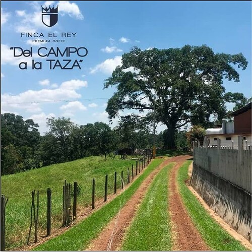 CAFÉ PREMIUM FINCA EL REY TOSTADO Y MOLIDO AMERICANO "COSTALITO"