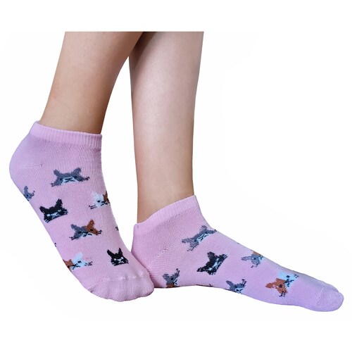 Tin Caritas De Gatos Dama 12 Pares