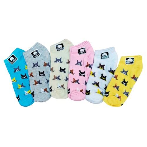 Tin Caritas De Gatos Dama 12 Pares