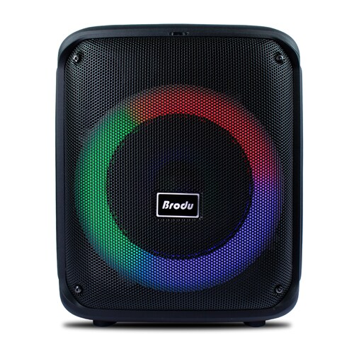 Subwoofer 8  45w Brodu Karaoke Micrófono Inalambrico .