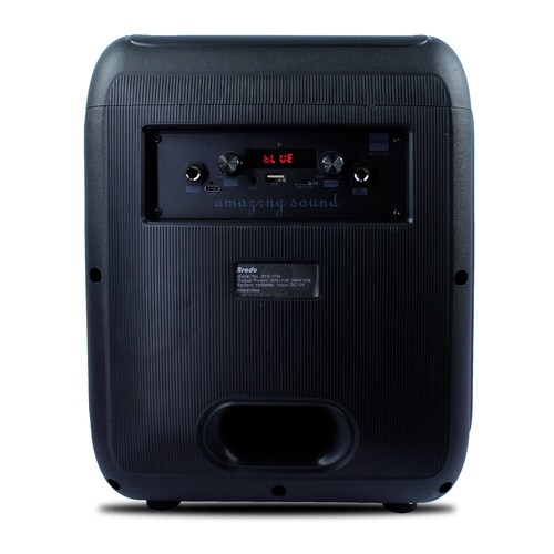 Subwoofer 8  45w Brodu Karaoke Micrófono Inalambrico .