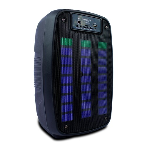 Bafle Bocina 6  Pulgadas Greatnice Karaoke Fm Aux .