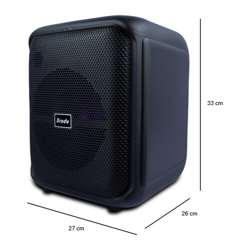 Bocina Karaoke Box Sowoofer 8  Pulgadas 45w Doble Micrófono.