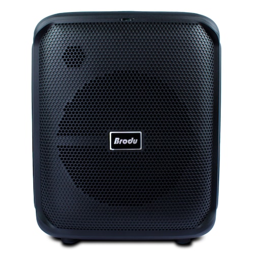 Bocina Karaoke Box Sowoofer 8  Pulgadas 45w Doble Micrófono.