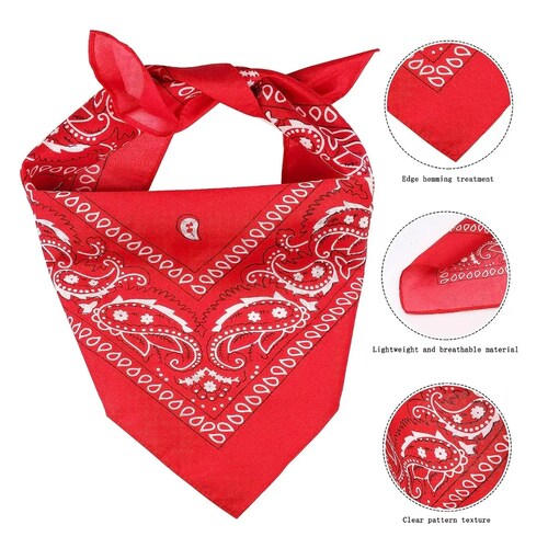 Disfraz Mascota Gato Y Perro Sombrero De Vaquero Y Bandana 