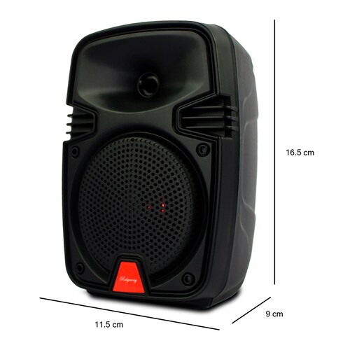 Bocina Portátil 5w Ridgeway Fm Bt Aux.
