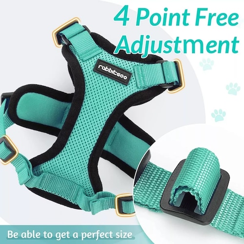 Arnes Gato Antiescape Y Ajustable Con Correa Para Caminar,xs