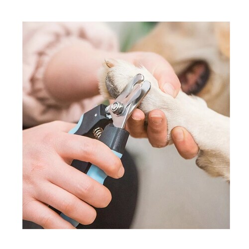 Kit Limpieza Mascotas Cepillo Y Limas Cortar Uñas Gris