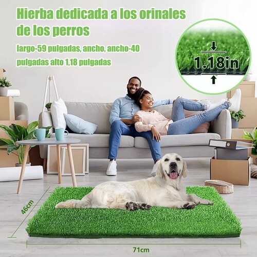 Tapete Entrenador Pasto Perro Transpirable Y Lavable 46x71cm