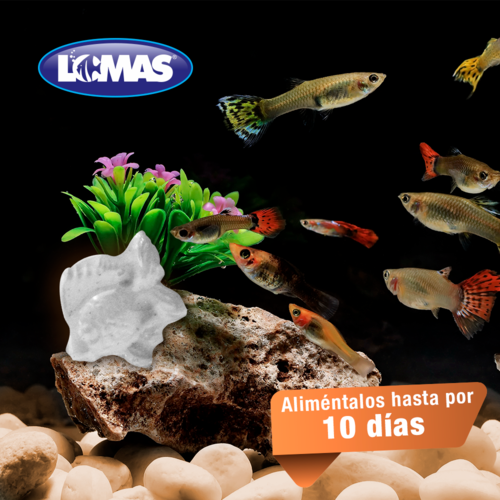 Lomas Alimento de Vacaciones para Peces con Duración de hasta 10 días