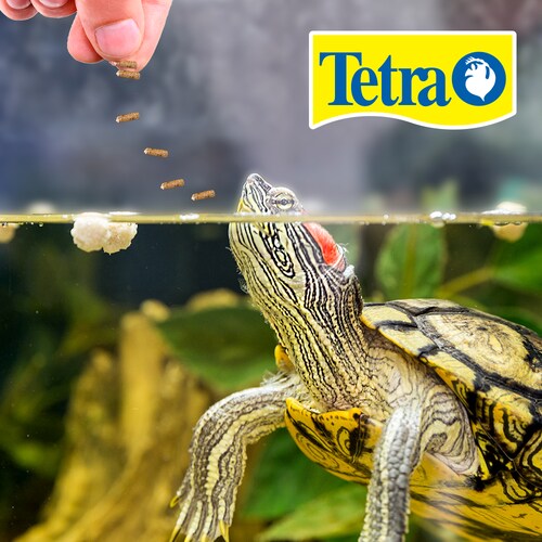 Tetra ReptoMin Alimento Selecto para Tortugas y Anfibios 3 en 1 de Reptomin, Baby Shrimp y Mini Krill Treats Contiene 44 Gramos