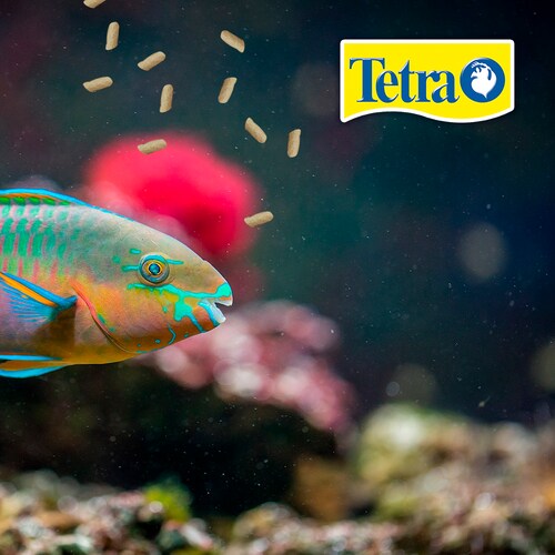 Tetra Alimento Tetrapond Sicks para Peces Koi y Goldfish con 1.68 Kilos