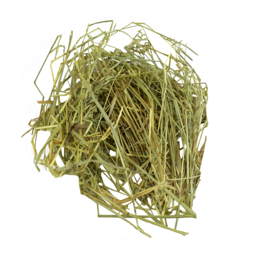 HENO DE AVENA P/HERBIVOROS 500 G