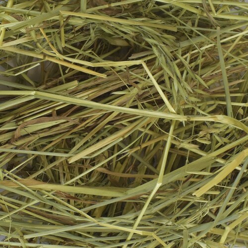 HENO DE AVENA P/HERBIVOROS 500 G