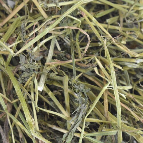 HENO DE ALFALFA P/HERBIVOROS 500 G