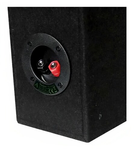 Cajón Subwoofer Pioneer Ts-a2500lb 300w .