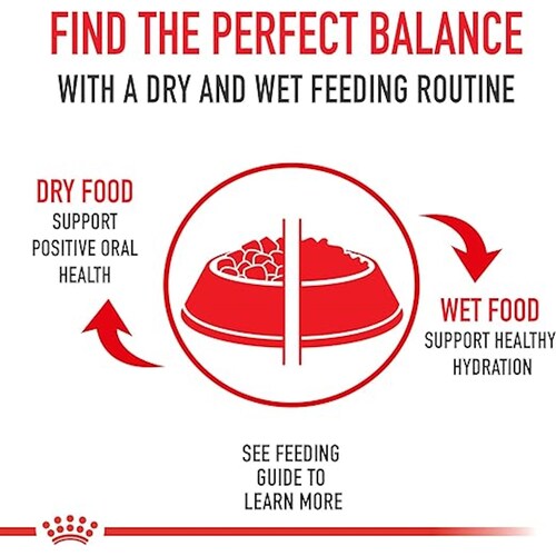 Royal Canin Alimento Perros Piel Delicada Small Weight Care 28, 1.13 Kg