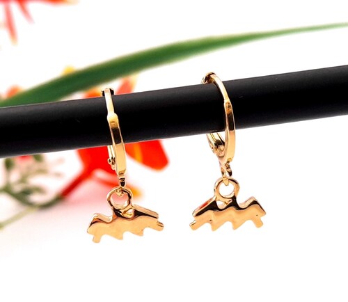 Aretes Huggies Acuario En Chapa De Oro 22 Kilates ITZANALLY