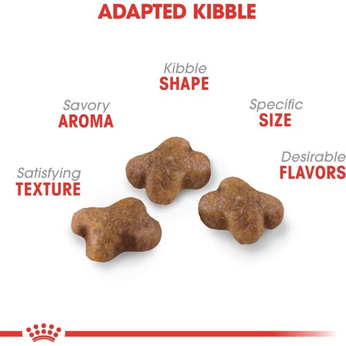 Croquetas Para Gatos Kitten 3.17 Kg Royal Canin