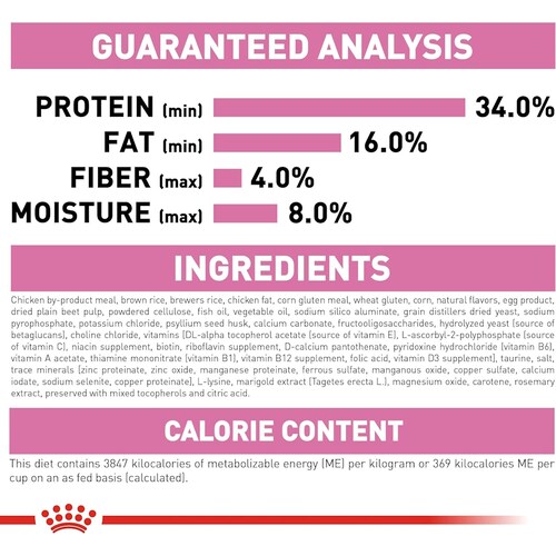 Croquetas Para Gatos Kitten 3.17 Kg Royal Canin