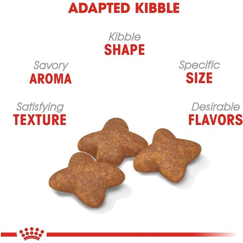 Croquetas Perro Adulto Raza Pequeña Mini Adult, 6.35 kg Royal Canin