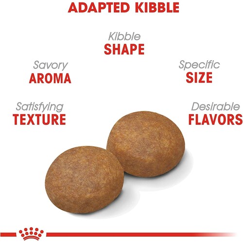 Comida Perro Adulto Raza Grande Large, Adult 5+ 13.61 kg Royal Canin