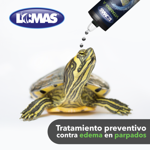 VITAMINA A PARA TORTUGAS 120 ML