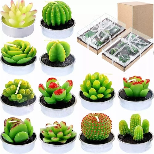  Velas Aromáticas Decorativas Suculentas 12 piezas
