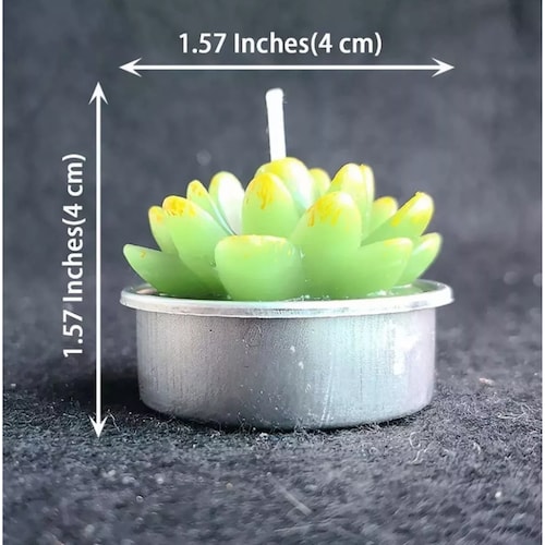  Velas Aromáticas Decorativas Suculentas 12 piezas