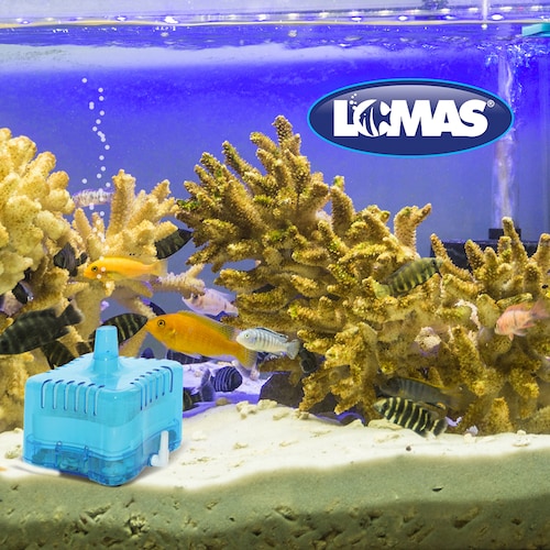 Lomas Filtro AquaJet 25 Filtro Interno de Caja Color Azul para Acuarios y/o Peceras de 25 Litros