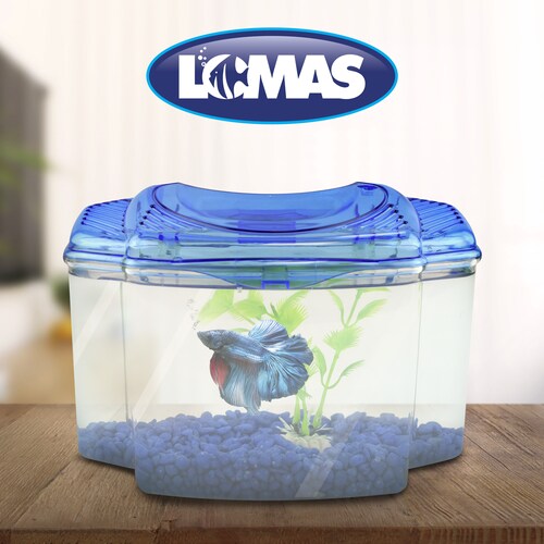 KIT BETERA 1.8 L AZUL