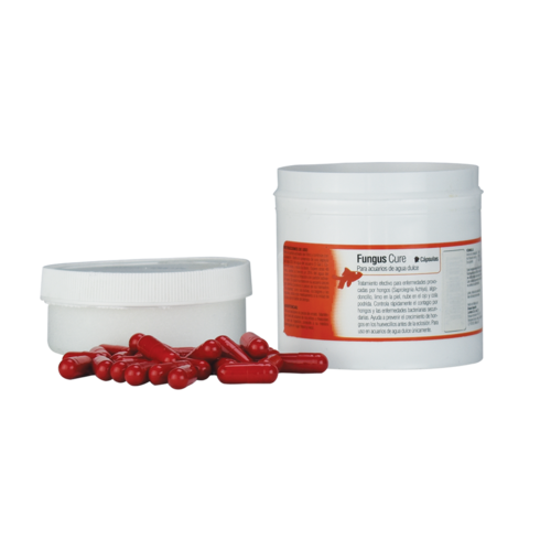 FUNGUS CURE - 100 CAPSULAS