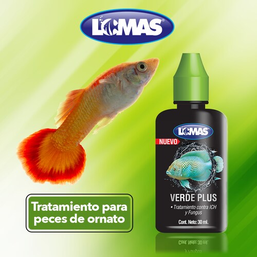 Lomas Verde Plus Contra ICH y Fungus para Peces de Ornato Contiene 30 Mililítros