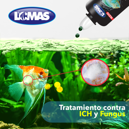 VERDE PLUS 120 ML