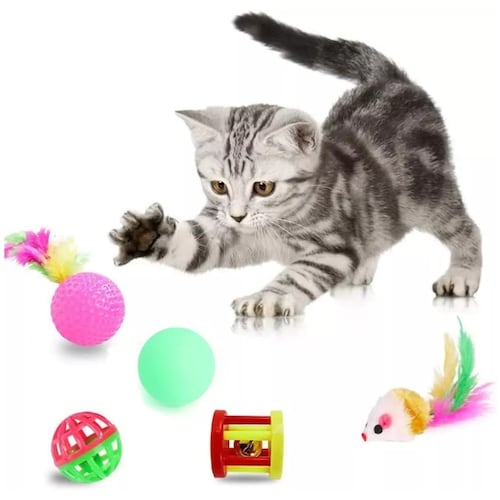 Juguetes Para Gato 22 Pcs Pluma Varita Bola Túnel Ratone