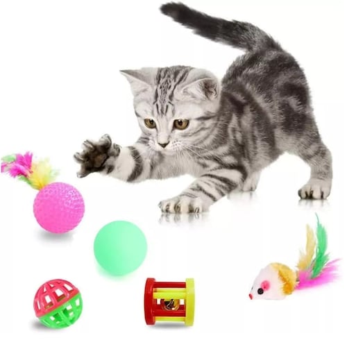 Juguetes Para Gato 22 Pcs Pluma Varita Bola Túnel Ratone