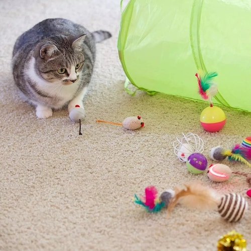 Juguetes Para Gato 22 Pcs Pluma Varita Bola Túnel Ratone