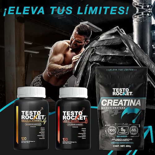 Creatina Monohidratada de Alta Pureza en Polvo - 500g | Creatina Testo Rocket - Pre workout