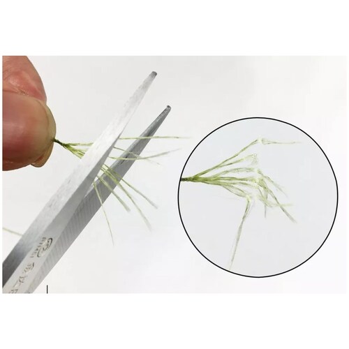 Línea Trenzada Cuerda Pesca 8 Hilados 300 M Vistoso 50 Libras